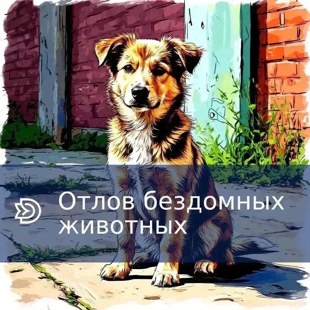 Отлов бездомных животных
