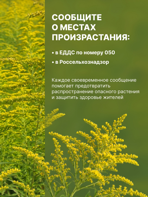 1RQ5htTI5b6YIBKvmtrdT6j1IBwbHoQvOpILL4D8XPshwmCDNaJxOu1v0IfPh22NXN59tuNnX6kRqSZw1U15_YC1