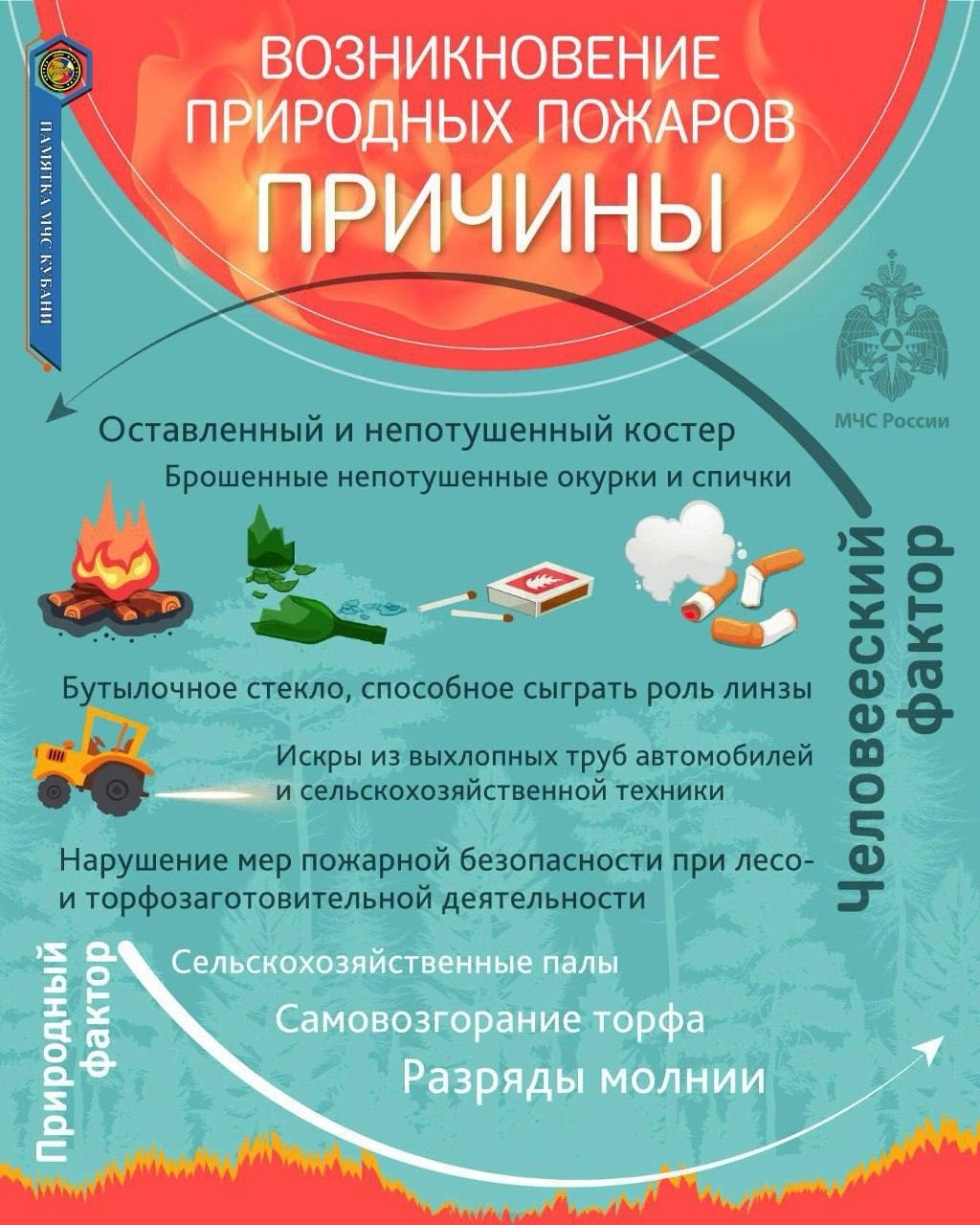 Памятка МЧС: причины возникновения природных пожаров