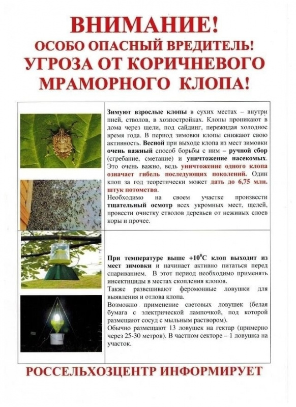 6BwlgHlYdgM5VSCtubjy28CBHjS4zQ106mo3fSRmDtjWfAMD9iKIflcsenJmCLV7IQ2xXncP65G_BV_e9nWOCjAZ